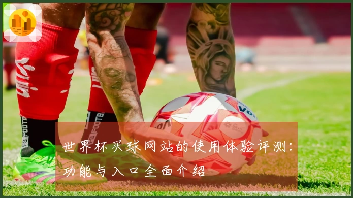 世界杯买球网站的使用体验评测：功能与入口全面介绍