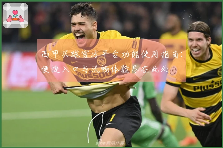 西甲买球官方平台功能使用指南：便捷入口与流畅体验尽在此处